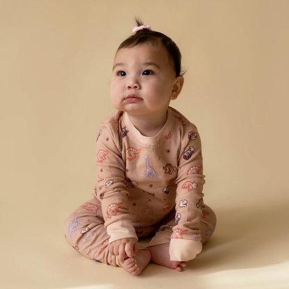 Dinosaur toddler pyjamas front view — The Anning collection by Stemmewear