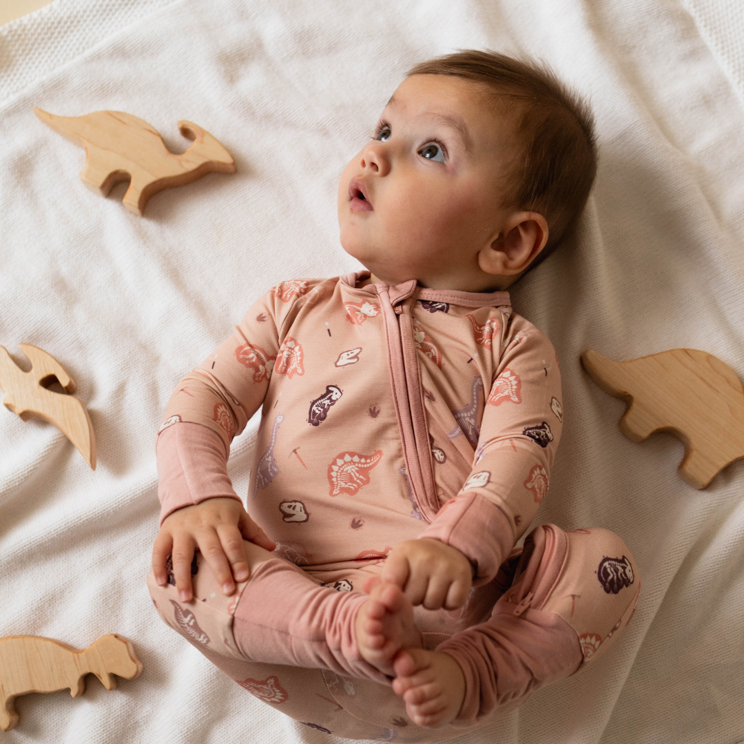 Dinosaur baby onesie packaging — Stemmewear gift-ready presentation