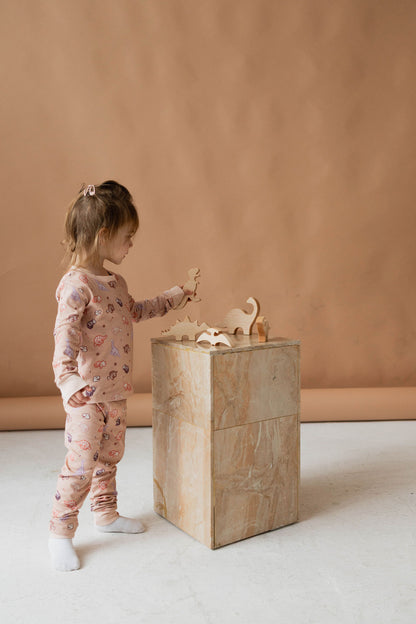 The Anning - Dinosaur-Themed Toddler Pyjamas